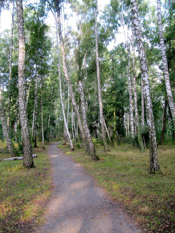 Отель Севериновка Severynivka Номер фото